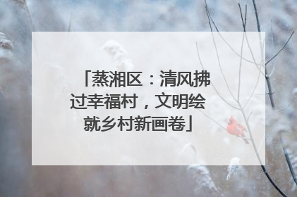 蒸湘区：清风拂过幸福村，文明绘就乡村新画卷