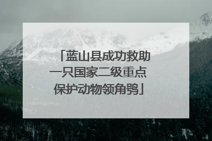 蓝山县成功救助一只国家二级重点保护动物领角鸮