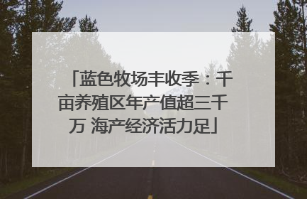 蓝色牧场丰收季：千亩养殖区年产值超三千万 海产经济活力足