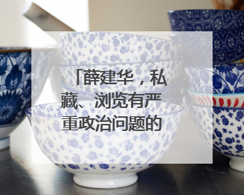 薛建华，私藏、浏览有严重政治问题的网络文章