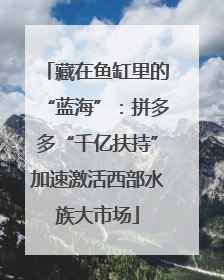 藏在鱼缸里的“蓝海”：拼多多“千亿扶持”加速激活西部水族大市场