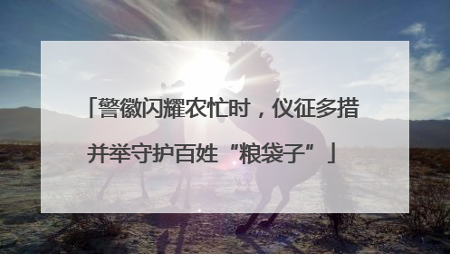 警徽闪耀农忙时，仪征多措并举守护百姓“粮袋子”
