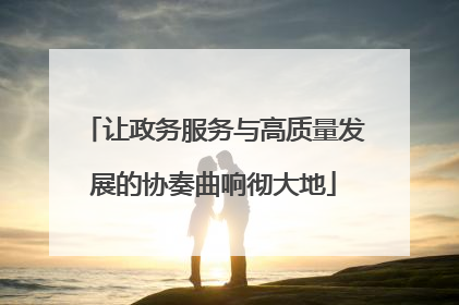让政务服务与高质量发展的协奏曲响彻大地