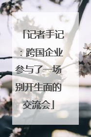 记者手记：跨国企业参与了一场别开生面的交流会