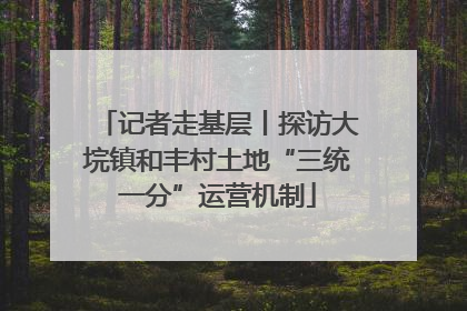 记者走基层丨探访大垸镇和丰村土地“三统一分”运营机制