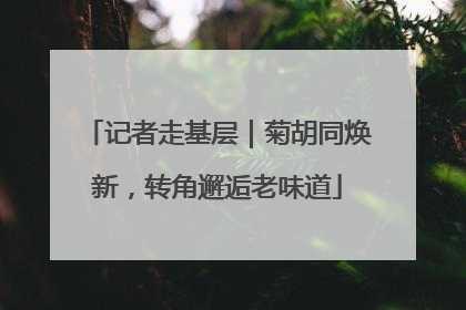 记者走基层｜菊胡同焕新，转角邂逅老味道