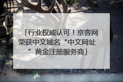行业权威认可！京客网荣获中文域名“中文网址”黄金注册服务商