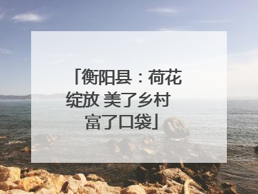 衡阳县：荷花绽放 美了乡村 富了口袋