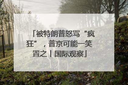 被特朗普怒骂“疯狂”，普京可能一笑置之丨国际观察