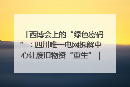 西博会上的“绿色密码”：四川唯一电网拆解中心让废旧物资“重生”｜西博寻“新”记