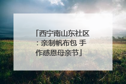 西宁南山东社区：亲制帆布包 手作感恩母亲节