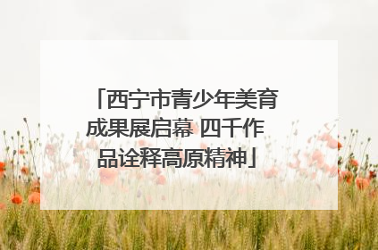 西宁市青少年美育成果展启幕 四千作品诠释高原精神