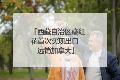 西藏自治区藏红花首次实现出口 远销加拿大
