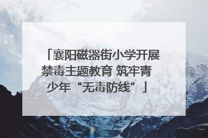 襄阳磁器街小学开展禁毒主题教育 筑牢青少年“无毒防线”