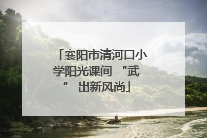 襄阳市清河口小学阳光课间 “武” 出新风尚
