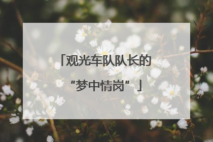 观光车队队长的“梦中情岗”