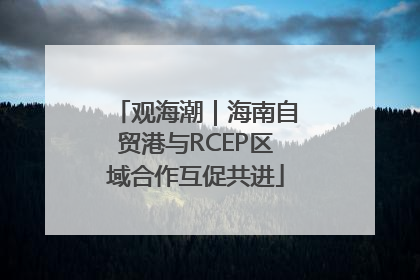 观海潮｜海南自贸港与RCEP区域合作互促共进