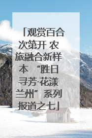 观赏百合次第开 农旅融合新样本 “胜日寻芳·花漾兰州”系列报道之七