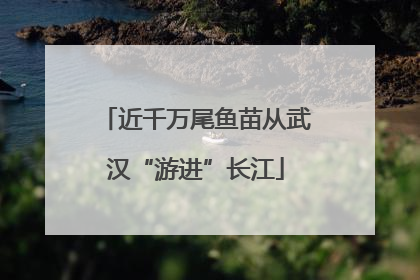 近千万尾鱼苗从武汉“游进”长江
