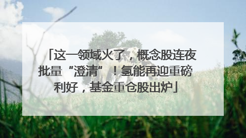 这一领域火了，概念股连夜批量“澄清”！氢能再迎重磅利好，基金重仓股出炉