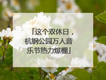 这个双休日，杭钢公园万人音乐节热力爆棚