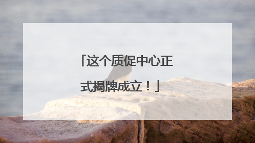 这个质促中心正式揭牌成立！