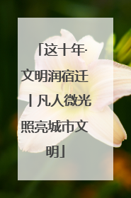 这十年·文明润宿迁丨凡人微光照亮城市文明