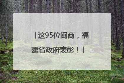 这95位闽商，福建省政府表彰！