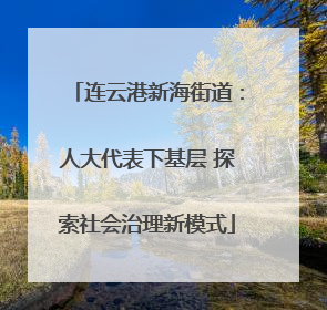 连云港新海街道：人大代表下基层 探索社会治理新模式