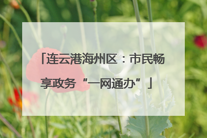 连云港海州区:市民畅享政务“一网通办”