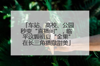 车站、高校、公园秒变“直播间”，临平这颗初夏“金果”在长三角播撒甜美