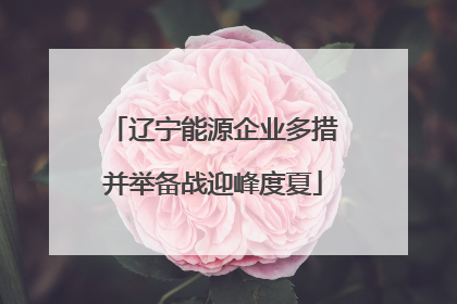 辽宁能源企业多措并举备战迎峰度夏