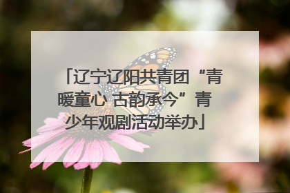 辽宁辽阳共青团“青暖童心 古韵承今”青少年观剧活动举办