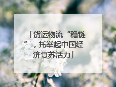 货运物流“稳链”，托举起中国经济复苏活力