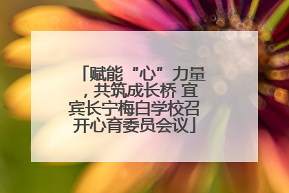 赋能“心”力量，共筑成长桥 宜宾长宁梅白学校召开心育委员会议