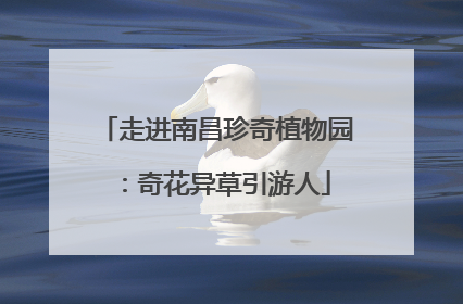 走进南昌珍奇植物园：奇花异草引游人