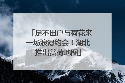 足不出户与荷花来一场浪漫约会！湖北推出赏荷地图