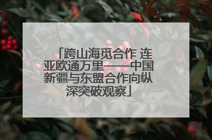 跨山海觅合作 连亚欧通万里——中国新疆与东盟合作向纵深突破观察