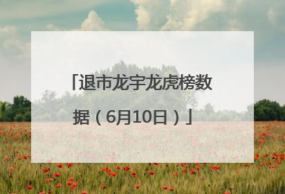 退市龙宇龙虎榜数据（6月10日）