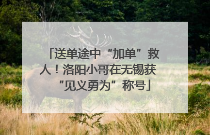 送单途中“加单”救人！洛阳小哥在无锡获“见义勇为”称号