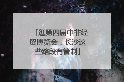 逛第四届中非经贸博览会，长沙这些路段有管制