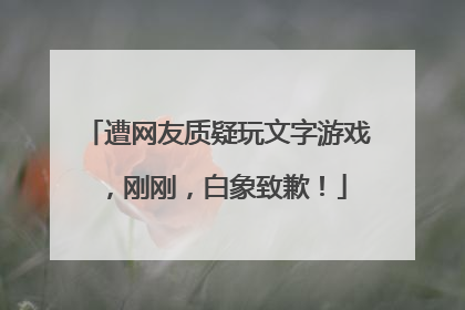遭网友质疑玩文字游戏，刚刚，白象致歉！