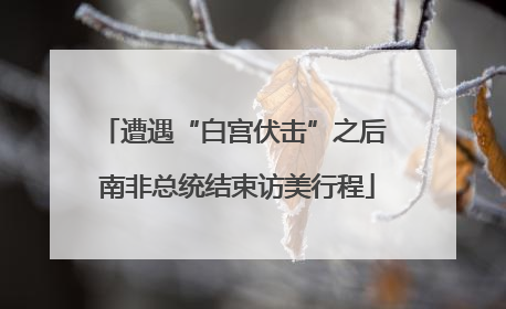 遭遇“白宫伏击”之后 南非总统结束访美行程