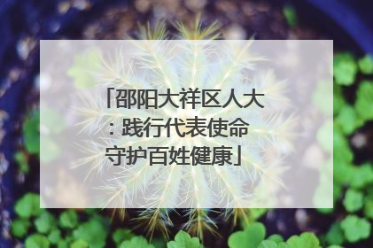 邵阳大祥区人大：践行代表使命 守护百姓健康