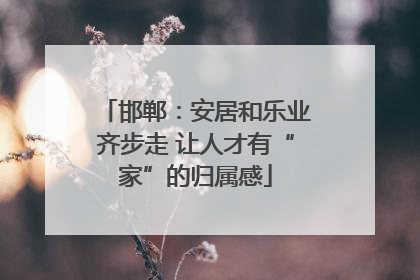 邯郸：安居和乐业齐步走 让人才有“家”的归属感