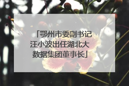 鄂州市委副书记汪小波出任湖北大数据集团董事长