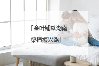 金叶铺就湖南桑植振兴路