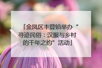 金凤区丰登镇举办“寻迹民俗：汉服与乡村的千年之约”活动