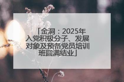 金洞：2025年入党积极分子、发展对象及预备党员培训班圆满结业
