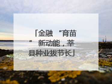 金融 “育苗” 新动能，莘县种业拔节长